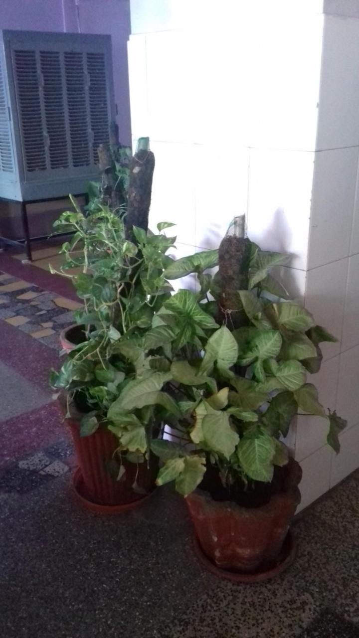 Arun Hotel Jodhpur  Bagian luar foto