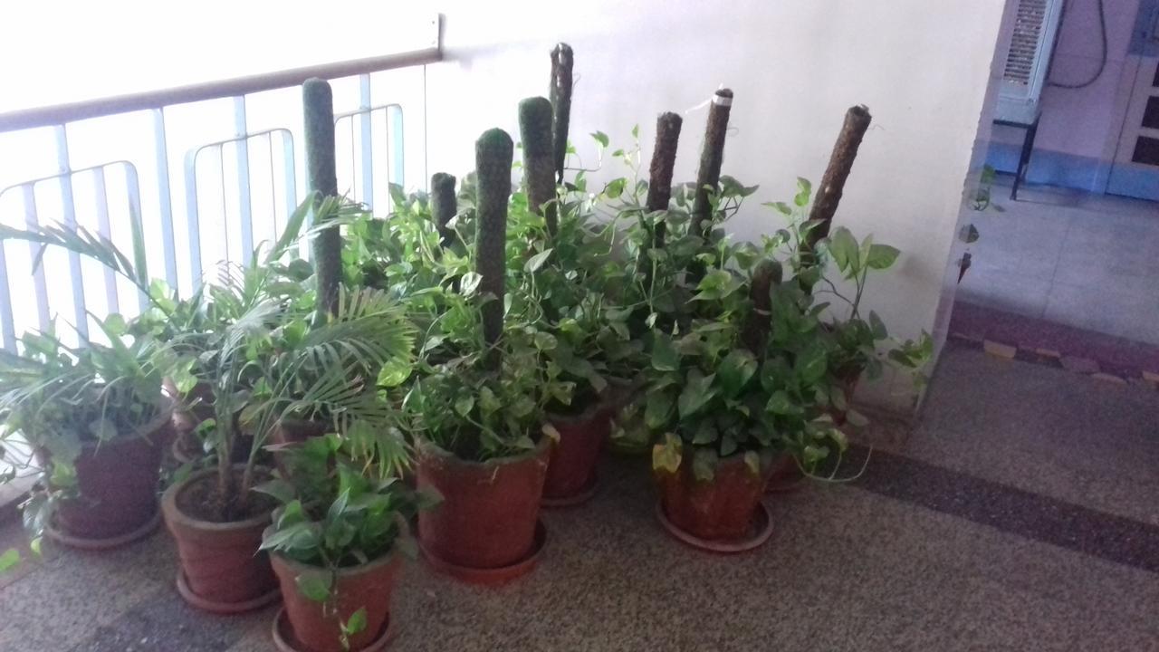 Arun Hotel Jodhpur  Bagian luar foto